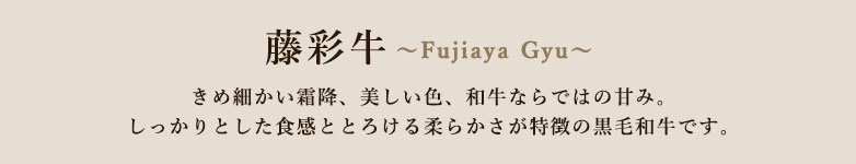 ʋ`Fujiaya Gyu` ߍׂ~AFAaȂł͂̊Â݁B ƂHƂƂ낯_炩̍јałB