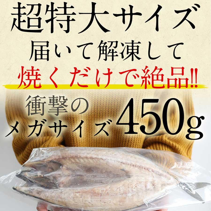 無塩 サバ 鯖 さば 開き 頭付き 450g 下処理済