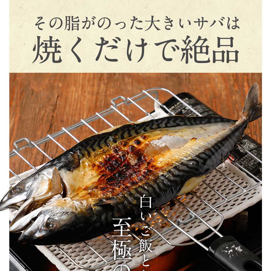 無塩 サバ 鯖 さば 開き 頭付き 450g 下処理済